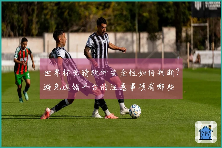 世界杯竞猜软件安全性如何判断？避免选错平台的注意事项有哪些