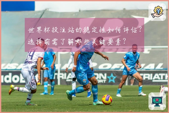 世界杯投注站的稳定性如何评估？选择前需了解哪些关键要素？